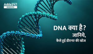 What is DNA (डीऑक्सीराइबोन्यूक्लिक एसिड)? जानिये, इसकी खोज, संरचना और कार्य