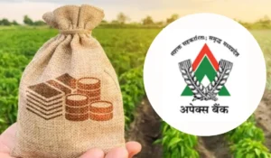 MP Rajya Sahakari Bank (Apex Bank) Recruitment